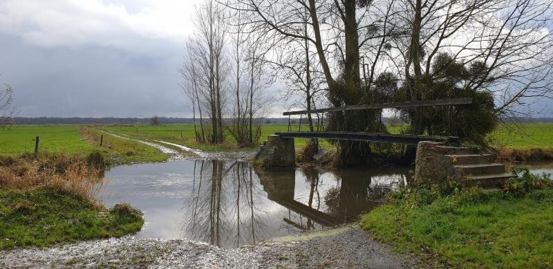 Charming Cottage Du Marais Dday Omaha Beach Canchy  エクステリア 写真
